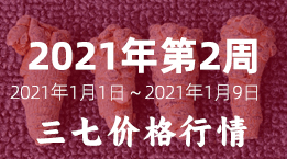 文山三七市场2021年第2周（2021年1月3日～1月9日）三七平均价格