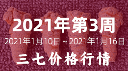 文山三七市场2021年第3周2021年1月10日～1月16日三七平均价格