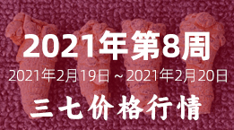 文山三七市场2021年第8周2021年2月19日～2月20日三七平均价格