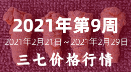 文山三七市场2021年第9周2021年2月21日-2021年2月27日三七平均价格